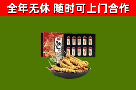 海城烟酒回收冬虫夏草礼盒.jpg